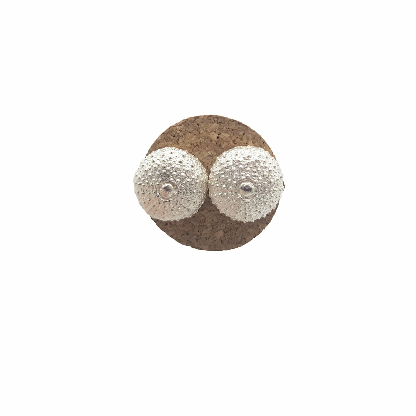 Pendientes Erizos de mar de plata