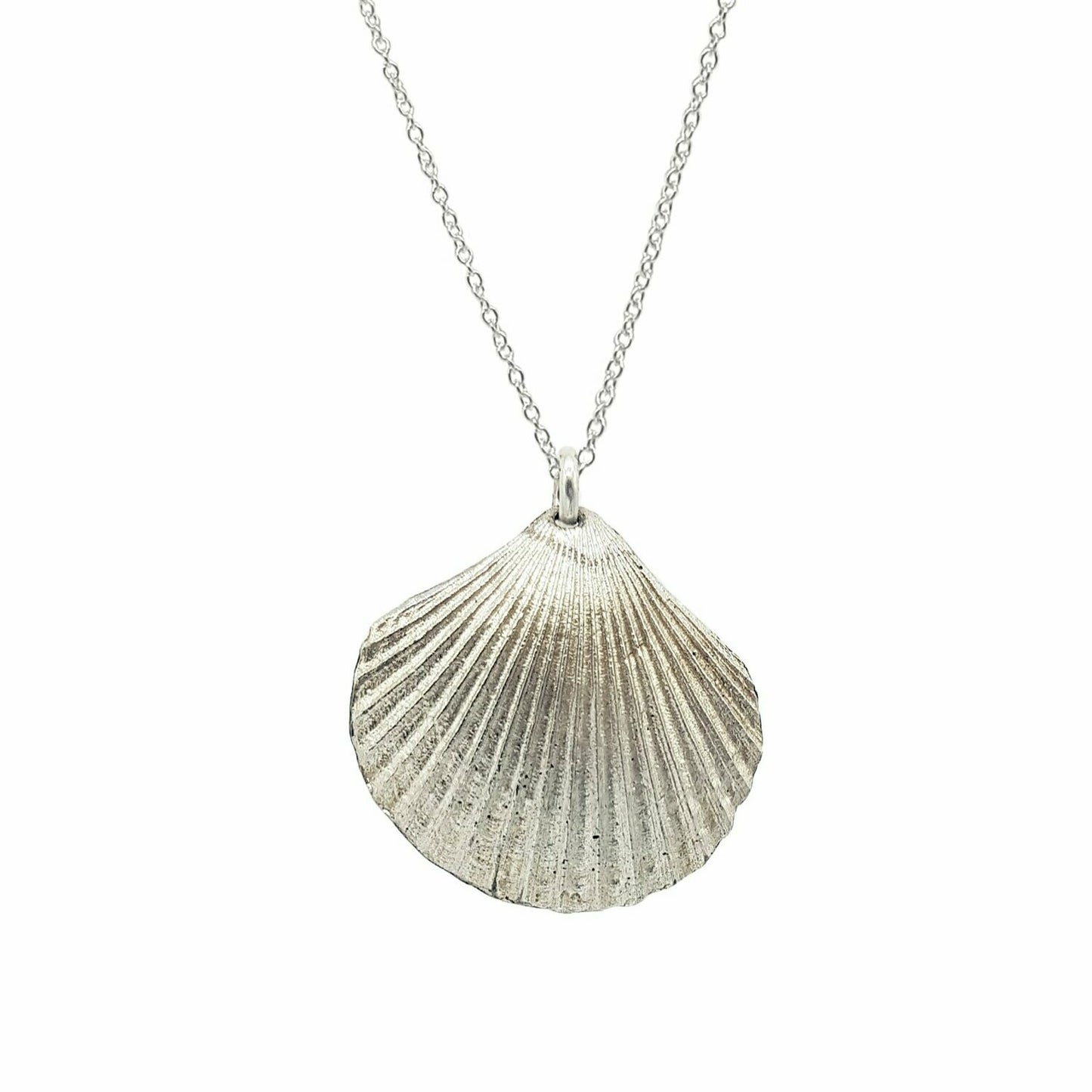 Collares Conchas de plata