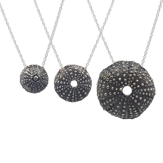 Erizos de mar plata oxidada