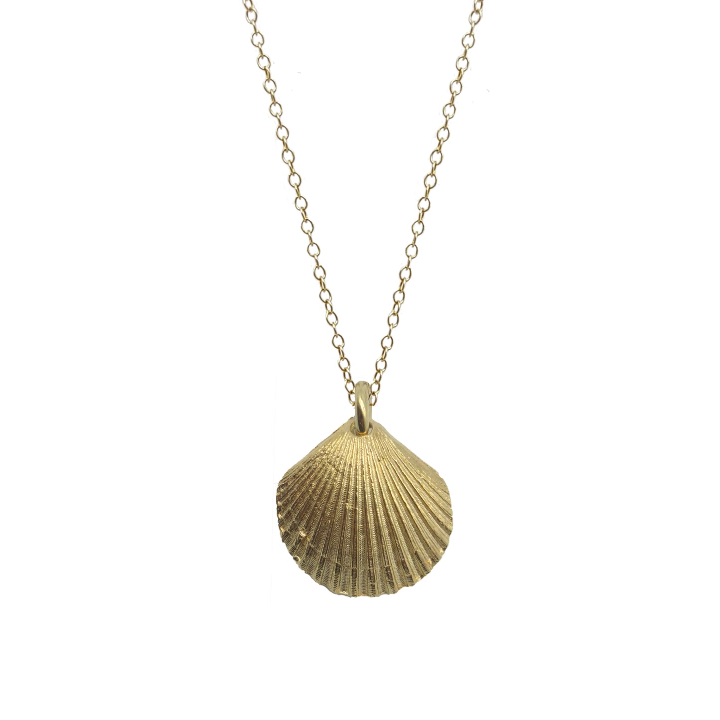 Collares Conchas de plata chapada en oro 18K