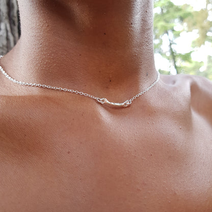 Collar Pals horizontal plata