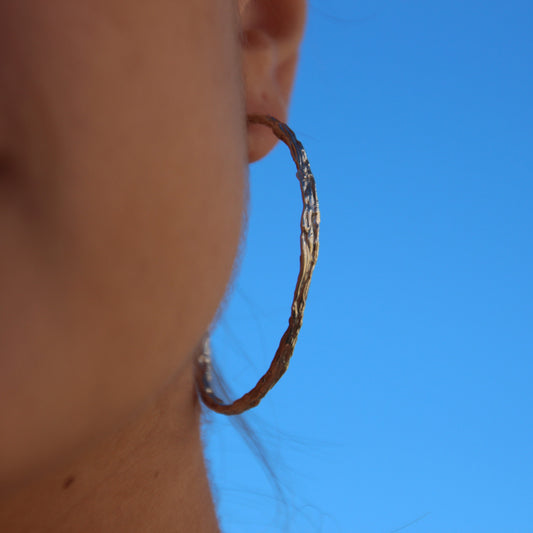 Aros de plata