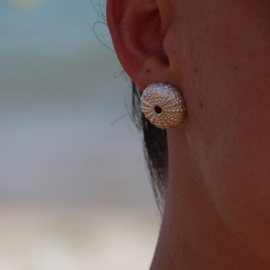 Pendientes Erizos de mar de plata